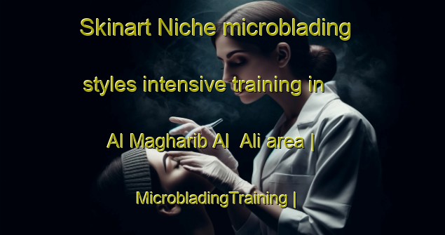 Skinart Niche microblading styles intensive training in Al Magharib Al  Ali area | MicrobladingTraining | MicrobladingClasses | SkinartTraining-Yemen